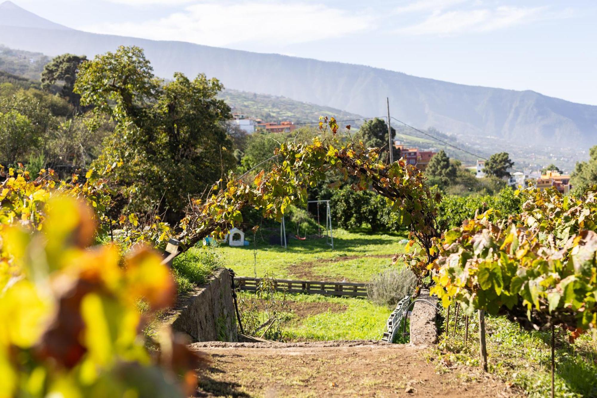 Ek Drago Finca El Milagro Ла-Оротава Екстер'єр фото