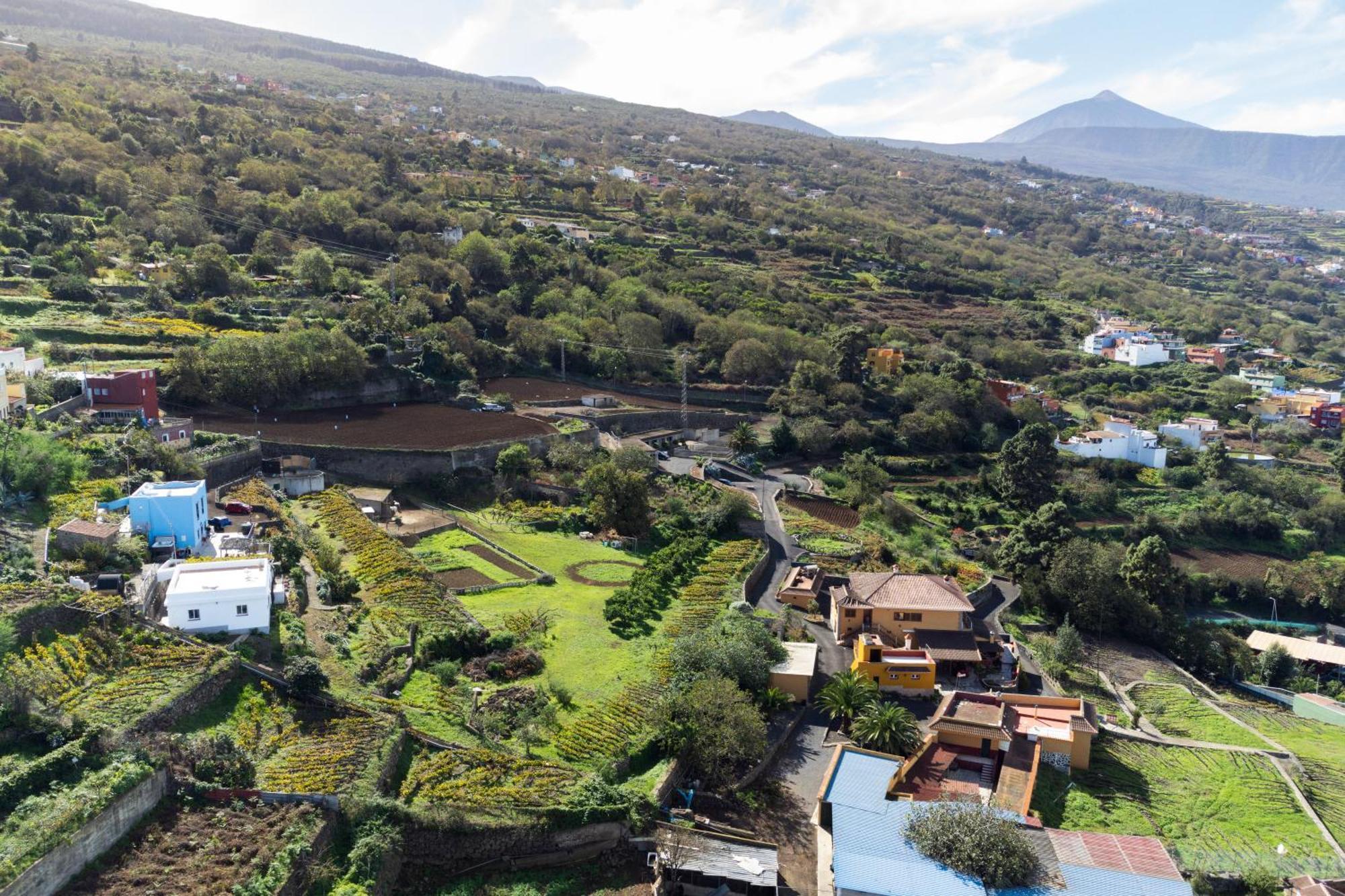 Ek Drago Finca El Milagro Ла-Оротава Екстер'єр фото