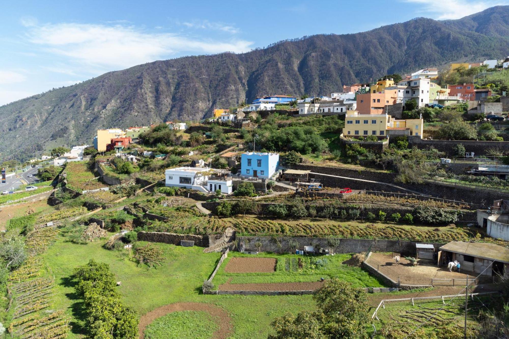 Ek Drago Finca El Milagro Ла-Оротава Екстер'єр фото